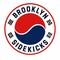 Brooklyn Sidekicks logo